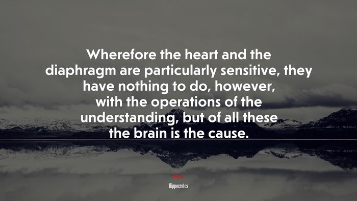 Wherefore the heart and the diaphragm are particularly sensitive, they have nothing to do, however, with the operations of the understanding, but of all these the brain is the cause. | Hippocrates quote