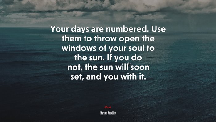 Your days are numbered. Use them to throw open the windows of your soul to the sun. If you do not, the sun will soon set, and you with it. | Marcus Aurelius quote
