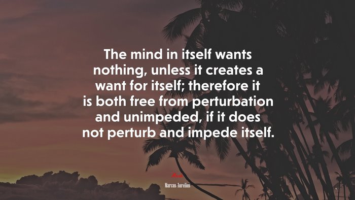 The mind in itself wants nothing, unless it creates a want for itself; therefore it is both free from perturbation and unimpeded, if it does not perturb and impede itself. | Marcus Aurelius quote