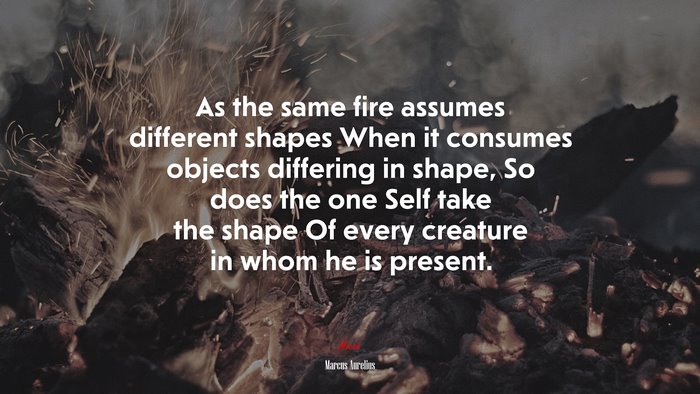 As the same fire assumes different shapes When it consumes objects differing in shape, So does the one Self take the shape Of every creature in whom he is present. | Marcus Aurelius quote