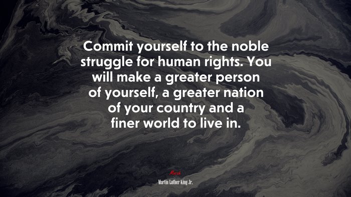 Commit yourself to the noble struggle for human rights. You will make a greater person of yourself, a greater nation of your country and a finer world to live in. | Martin Luther King Jr. quote