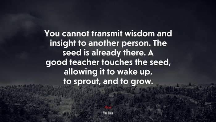 You cannot transmit wisdom and insight to another person. The seed is already there. A good teacher touches the seed, allowing it to wake up, to sprout, and to grow. | Nhat Hanh quote