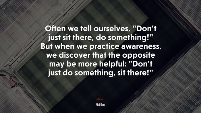 Often we tell ourselves, “Don’t just sit there, do something!” But when we practice awareness, we discover that the opposite may be more helpful: “Don’t just do something, sit there!” | Nhat Hanh quote