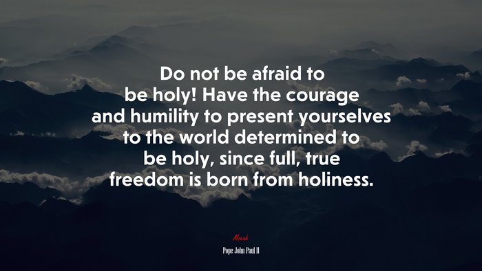 Do not be afraid to be holy! Have the courage and humility to present yourselves to the world determined to be holy, since full, true freedom is born from holiness. | Pope John Paul II quote