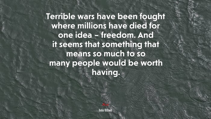 Terrible wars have been fought where millions have died for one idea – freedom. And it seems that something that means so much to so many people would be worth having. | Robin Williams quote