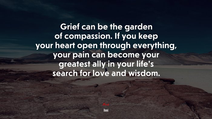 Grief can be the garden of compassion. If you keep your heart open ...