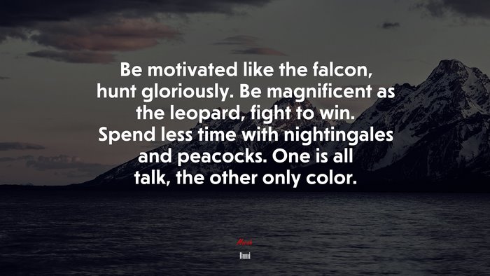 Be motivated like the falcon, hunt gloriously. Be magnificent as the leopard, fight to win. Spend less time with nightingales and peacocks. One is all talk, the other only color. | Rumi quote