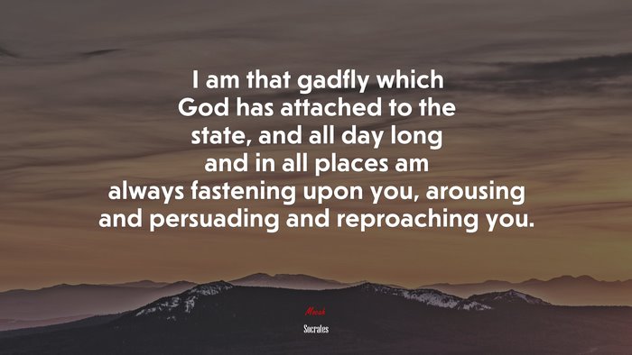 I am that gadfly which God has attached to the state, and all day long and in all places am always fastening upon you, arousing and persuading and reproaching you. | Socrates quote