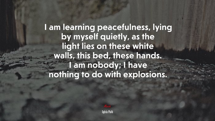 I am learning peacefulness, lying by myself quietly, as the light lies on these white walls, this bed, these hands. I am nobody; I have nothing to do with explosions. | Sylvia Plath quote