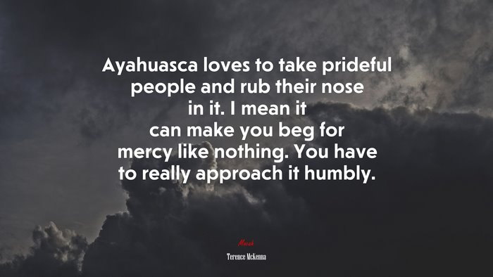 Ayahuasca loves to take prideful people and rub their nose in it. I mean it can make you beg for mercy like nothing. You have to really approach it humbly. | Terence McKenna quote