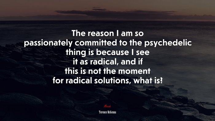The reason I am so passionately committed to the psychedelic thing is because I see it as radical, and if this is not the moment for radical solutions, what is? | Terence McKenna quote