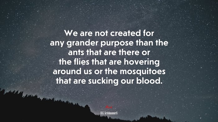 We are not created for any grander purpose than the ants that are there or the flies that are hovering around us or the mosquitoes that are sucking our blood. | U.G. Krishnamurti quote