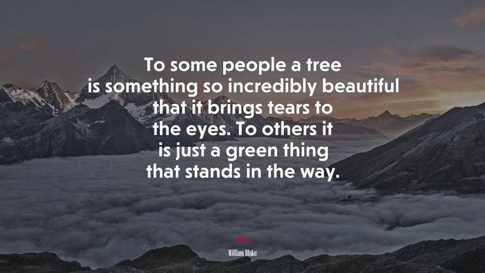 To some people a tree is something so incredibly beautiful that it brings tears to the eyes. To others it is just a green thing that stands in the way. | William Blake quote