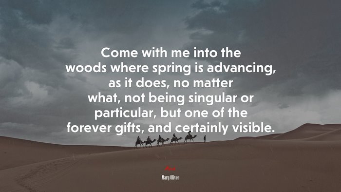 Come with me into the woods where spring is advancing, as it does, no matter what, not being singular or particular, but one of the forever gifts, and certainly visible. | Mary Oliver quote