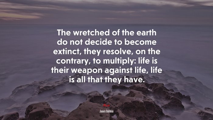 The wretched of the earth do not decide to become extinct, they resolve, on the contrary, to multiply: life is their weapon against life, life is all that they have. | James Baldwin quote