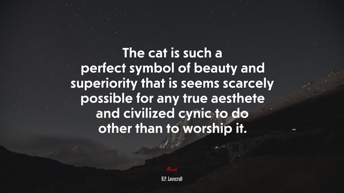 The cat is such a perfect symbol of beauty and superiority that is seems scarcely possible for any true aesthete and civilized cynic to do other than to worship it. | H.P. Lovecraft quote