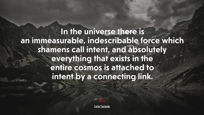 In the universe there is an immeasurable, indescribable force which shamens call intent, and absolutely everything that exists in the entire cosmos is attached to intent by a connecting link. | Carlos Castaneda quote