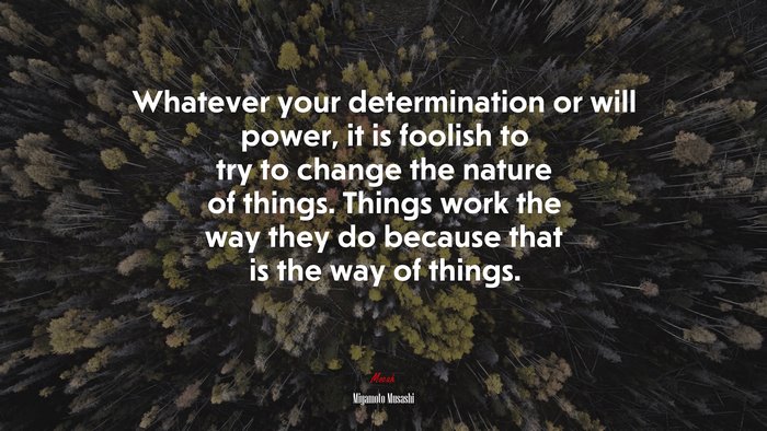 Whatever your determination or will power, it is foolish to try to change the nature of things. Things work the way they do because that is the way of things. | Miyamoto Musashi quote