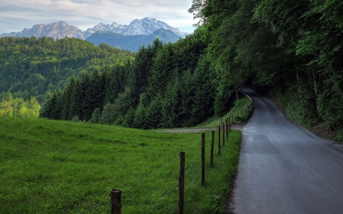 Mountain landscape with a winding road and forest