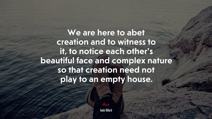 We are here to abet creation and to witness to it, to notice each other’s beautiful face and complex nature so that creation need not play to an empty house. | Annie Dillard quote