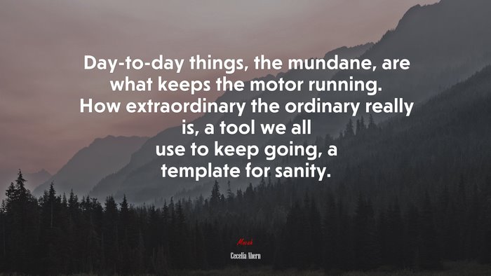 Day-to-day things, the mundane, are what keeps the motor running. How extraordinary the ordinary really is, a tool we all use to keep going, a template for sanity. | Cecelia Ahern quote
