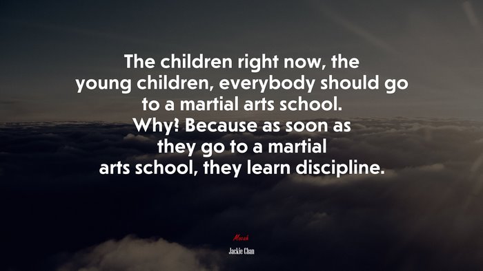 The children right now, the young children, everybody should go to a martial arts school. Why? Because as soon as they go to a martial arts school, they learn discipline. | Jackie Chan quote