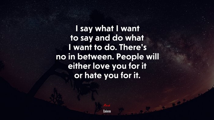 I say what I want to say and do what I want to do. There’s no in between. People will either love you for it or hate you for it. | Eminem quote