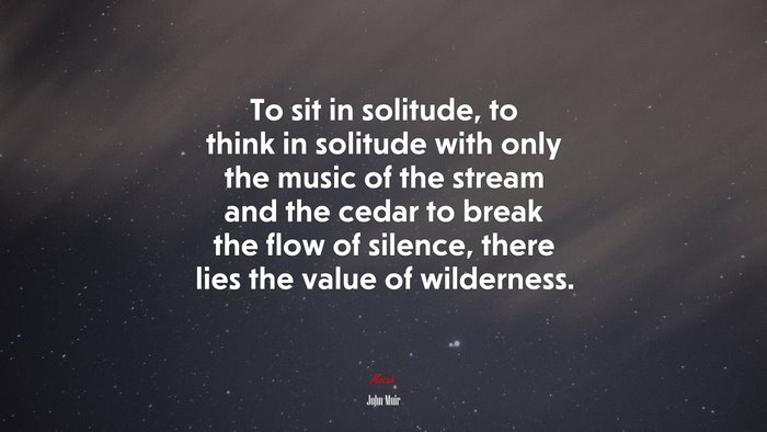 To sit in solitude, to think in solitude with only the music of the stream and the cedar to break the flow of silence, there lies the value of wilderness. | John Muir quote