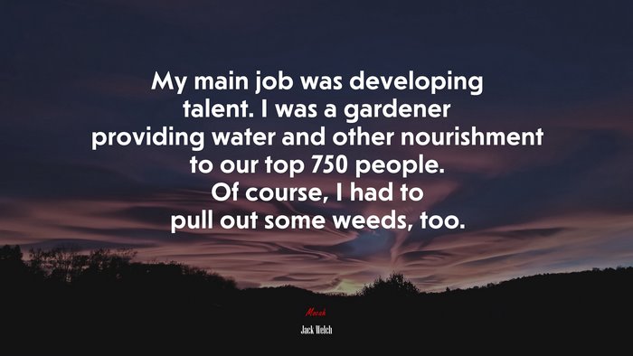 My main job was developing talent. I was a gardener providing water and other nourishment to our top 750 people. Of course, I had to pull out some weeds, too. | Jack Welch quote