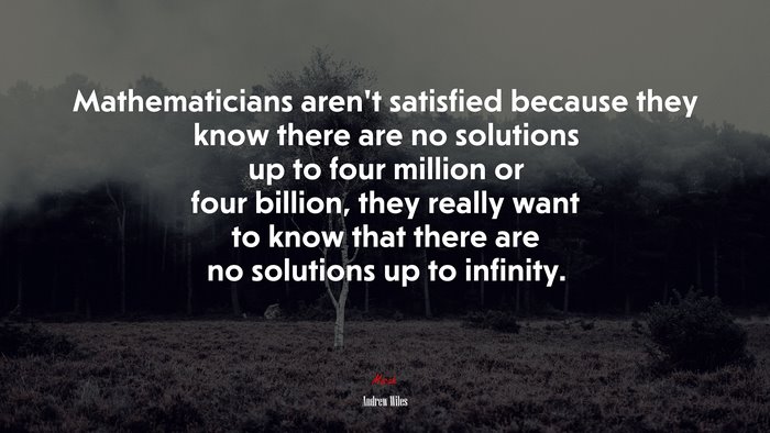 Mathematicians aren’t satisfied because they know there are no solutions up to four million or four billion, they really want to know that there are no solutions up to infinity. | Andrew Wiles quote