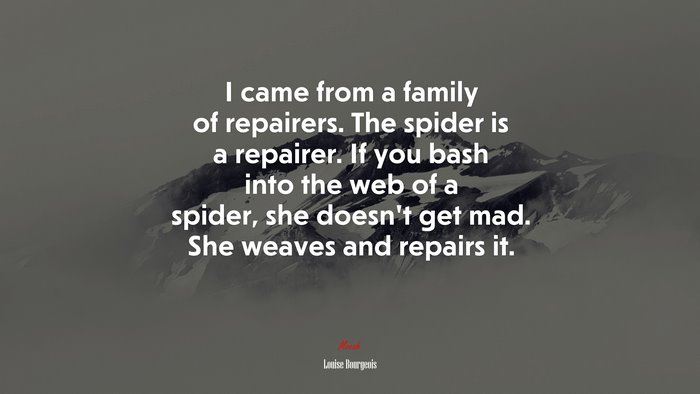 I came from a family of repairers. The spider is a repairer. If you bash into the web of a spider, she doesn’t get mad. She weaves and repairs it. | Louise Bourgeois quote