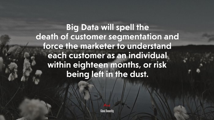 Big Data will spell the death of customer segmentation and force the marketer to understand each customer as an individual within eighteen months, or risk being left in the dust. | Ginni Rometty quote