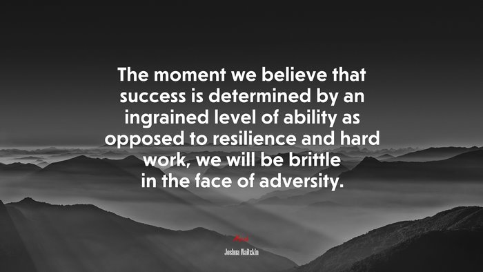 The moment we believe that success is determined by an ingrained level of ability as opposed to resilience and hard work, we will be brittle in the face of adversity. | Joshua Waitzkin quote