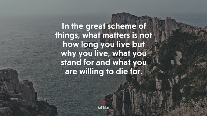 In the great scheme of things, what matters is not how long you live but why you live, what you stand for and what you are willing to die for. | Paul Watson quote