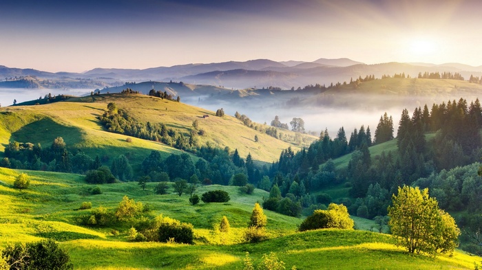 Rolling hills with trees and mist at sunrise