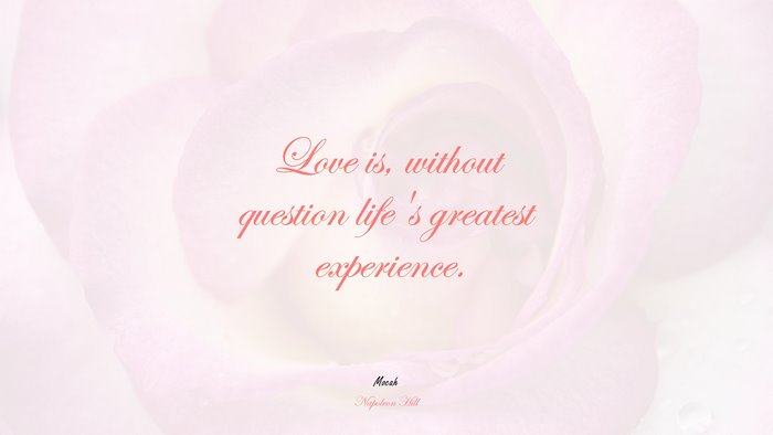 free on love quote, Napoleon Hill quote