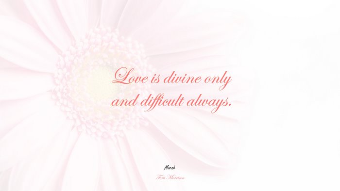 nice quote on love, Toni Morrison quote