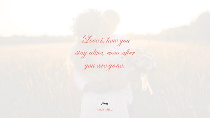  of love quotes with picture, Mitch Albom quote