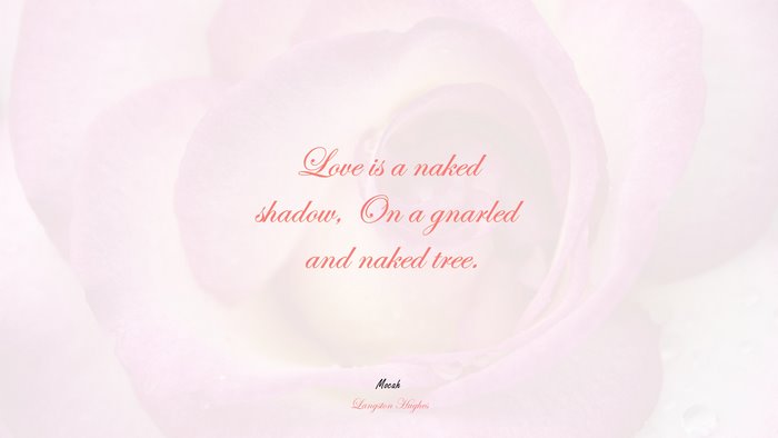 quote on love, Langston Hughes quote