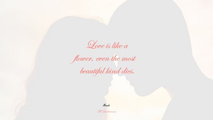 sweet love with quote, Till Lindemann quote