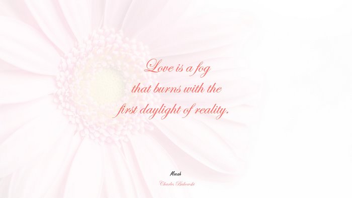 love quote cute, Charles Bukowski quote