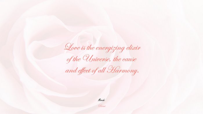 nice with quote about love, Rumi quote