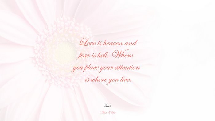 love quote in english, Alan Cohen quote