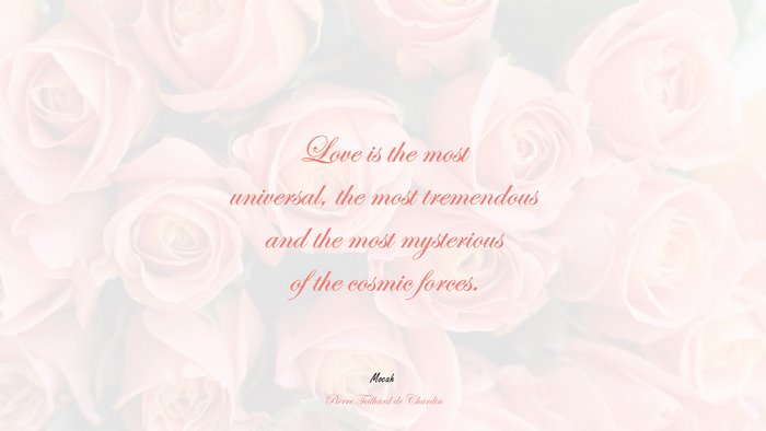 cute love with quote, Pierre Teilhard de Chardin quote