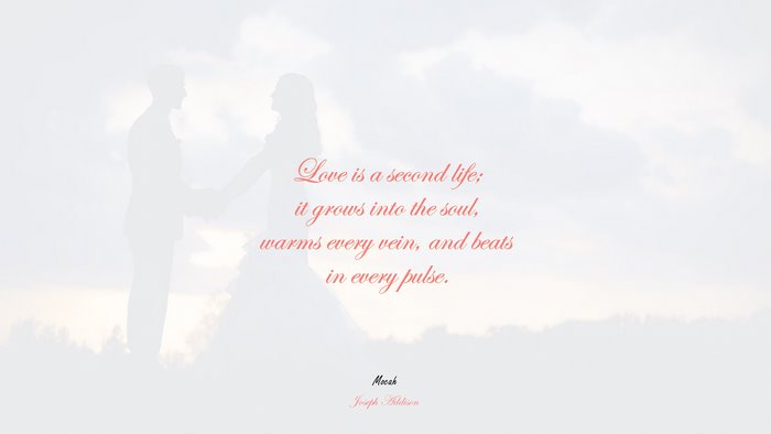 download love quote, Joseph Addison quote