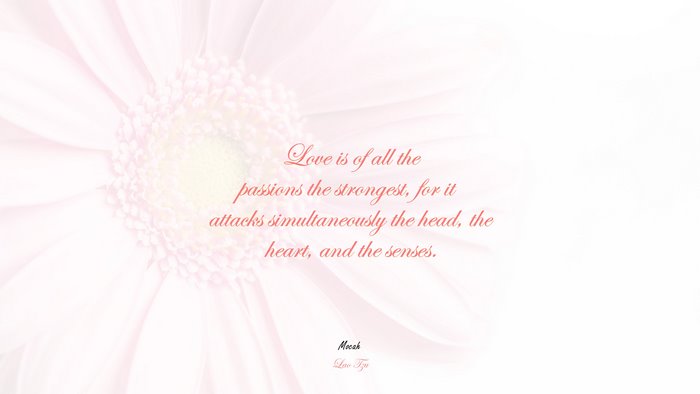 love quote, Lao Tzu quote