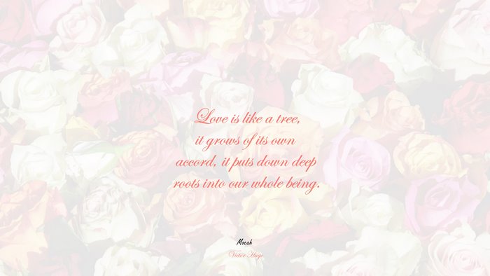  desktop love quote, Victor Hugo quote