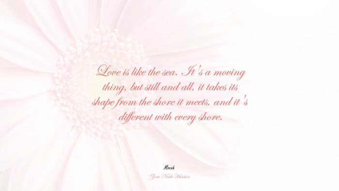 download free hd of love quote, Zora Neale Hurston quote