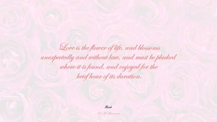 love quote photos, D. H. Lawrence quote