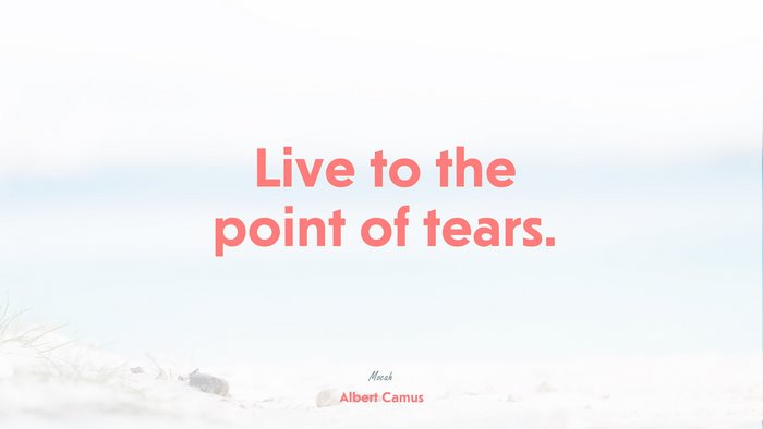 best quote of life, Albert Camus quote